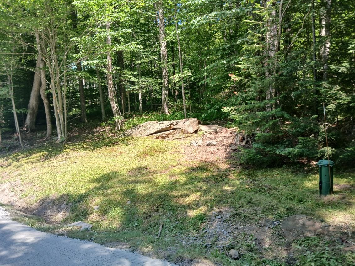 Cleared and tidied roadside bank with a boulder feature