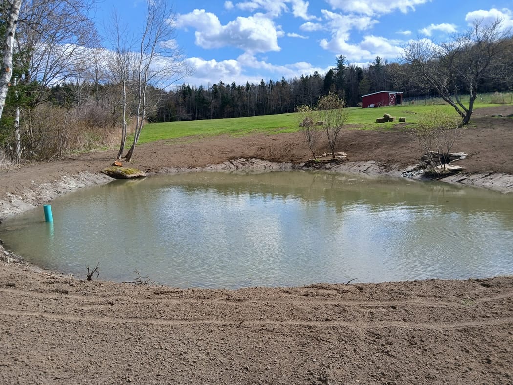 Pond dug, shaped & filled